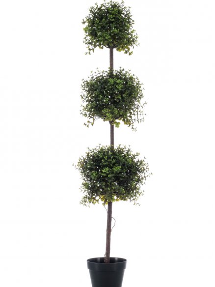 Emerald boxwood mini tripple balll in pot