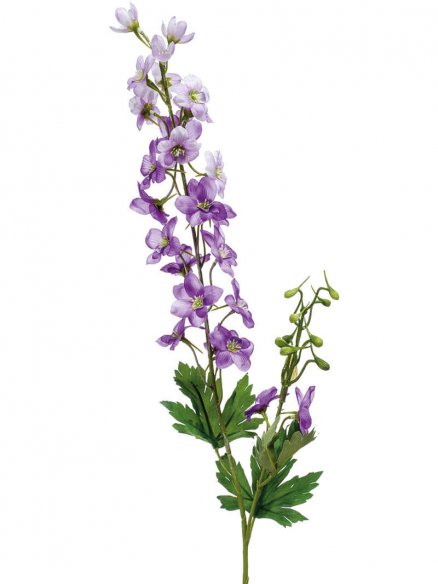 Emerald Delphinium paars