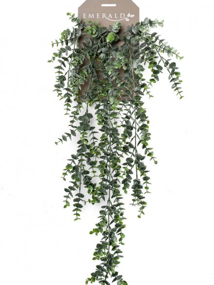 Emerald Eucalyptus hangend
