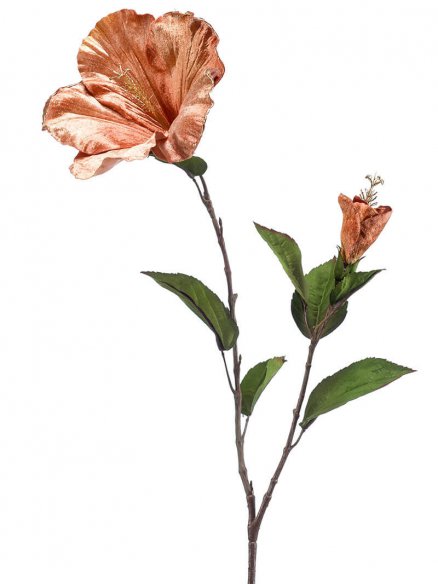 Emerald Hibiscus fluweel peach