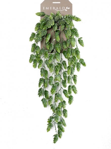 Emerald Hop hangend