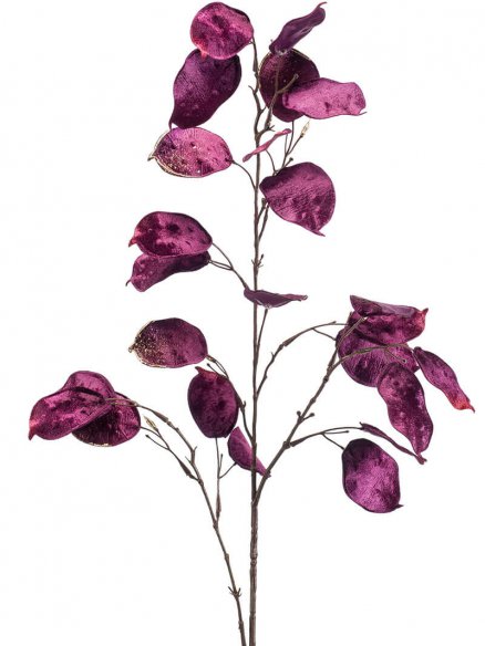 Emerald Lunaria fluweel paars