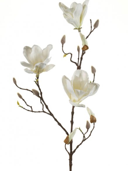 Emerald Magnolia creme