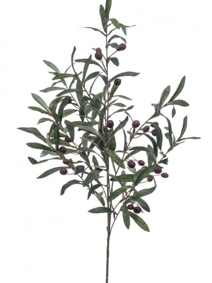 Emerald Olijf tak