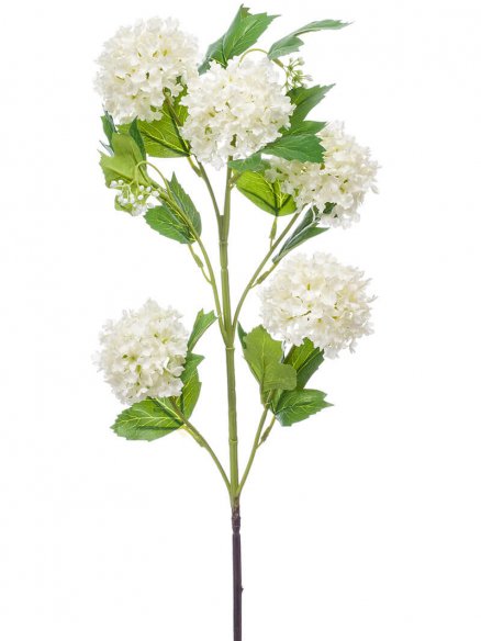 Emerald Viburnum creme