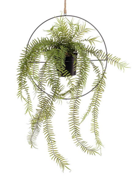 Emerald Fern in metal hanging ring