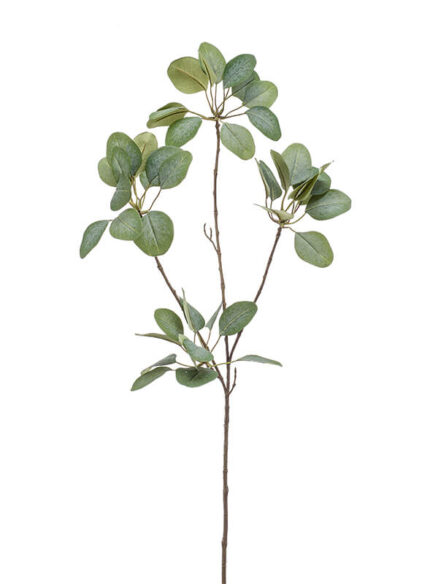 Emerald Eucalyptus tak