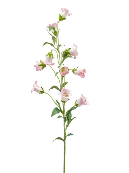 Emerald Campanula roze