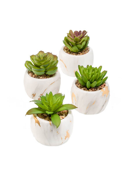 Emerald vetplant mix in marmer look pot