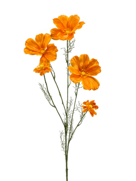 Emerald Cosmos Spray Orange