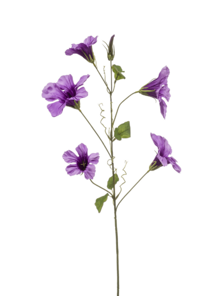 Emerald Mandevilla Spray Violet