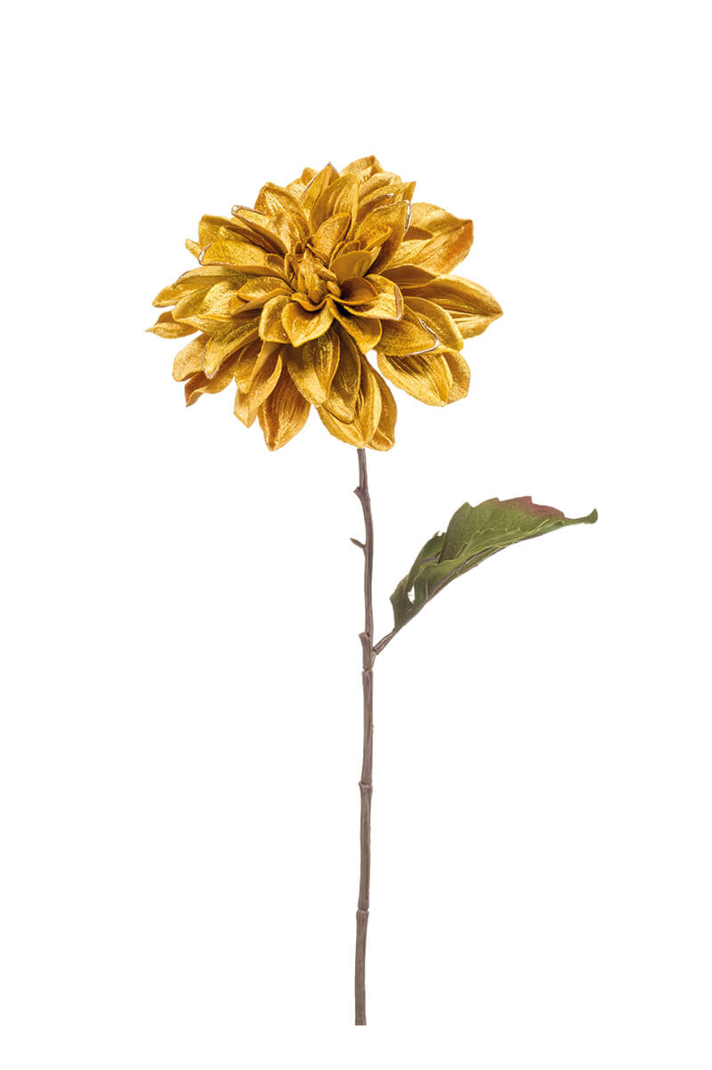 true autumn mustard true autumn mustard