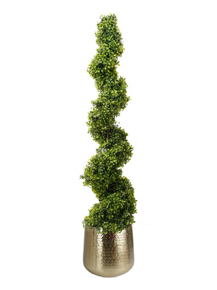 Emerald Buxus spiraal in pot