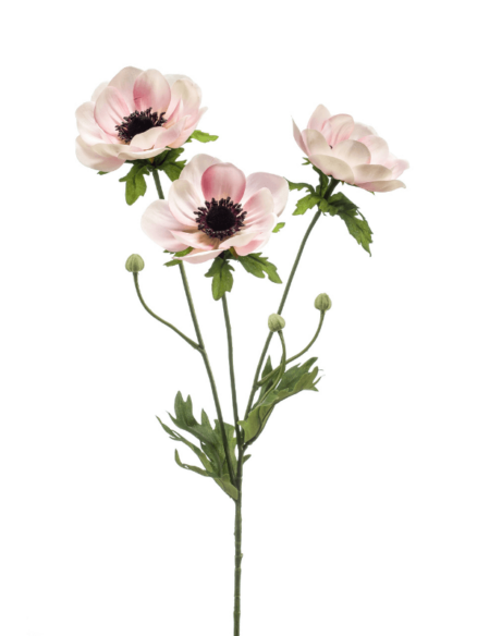 Emerald Anemone Spray Pink Cream