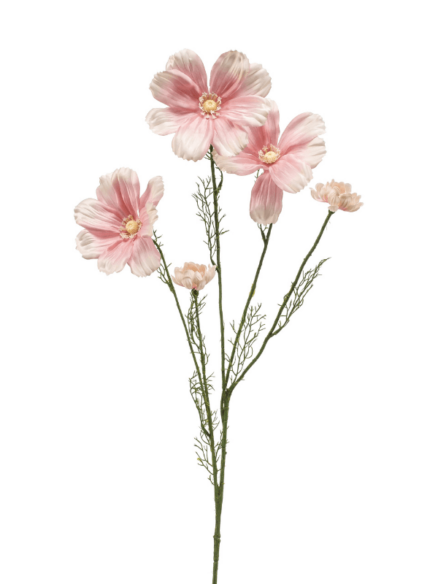 Cosmos Spray Pink