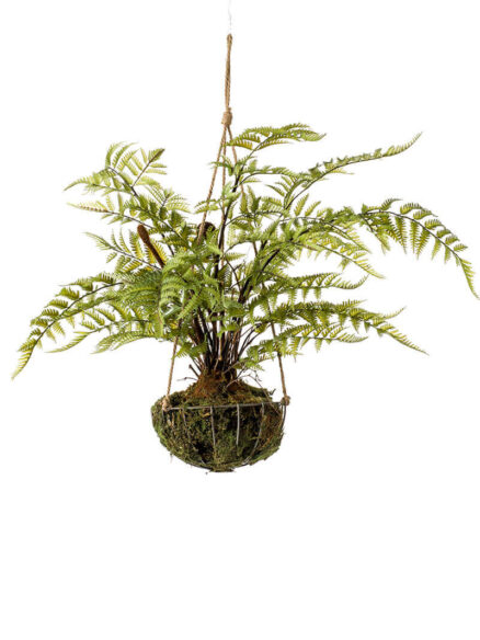 Emerald Fern forest on iron stand