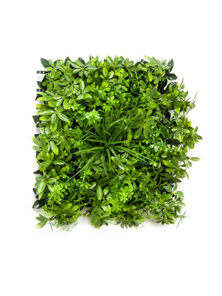 Emerald Schefflera mat