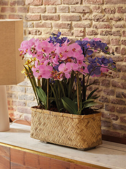 Bloeiende planten in pot