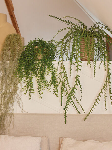 Hangplanten