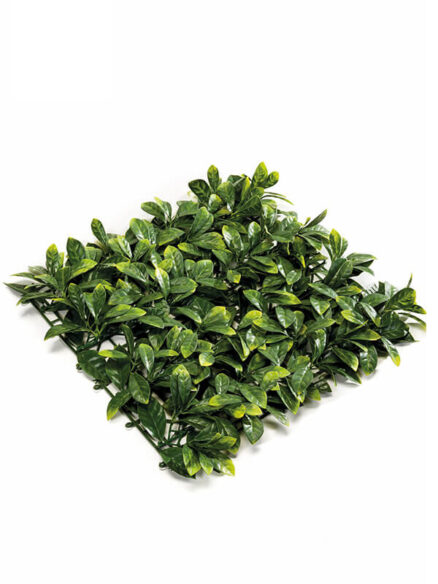 Emerald Prunus mat
