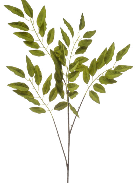 Emerald Pistacia spray groen