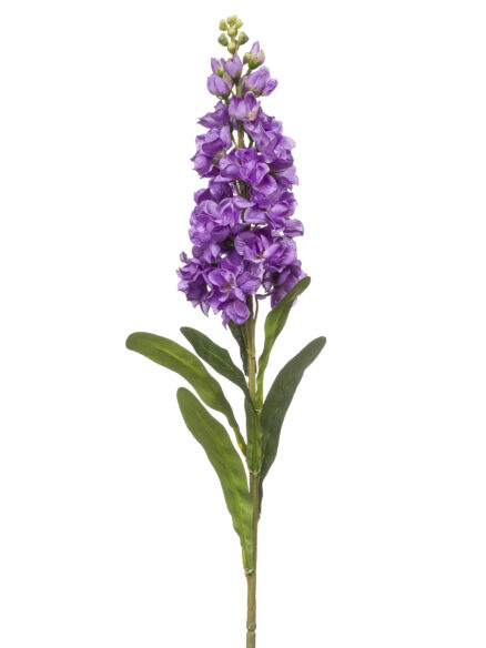 Emerald Matthiola spray paars