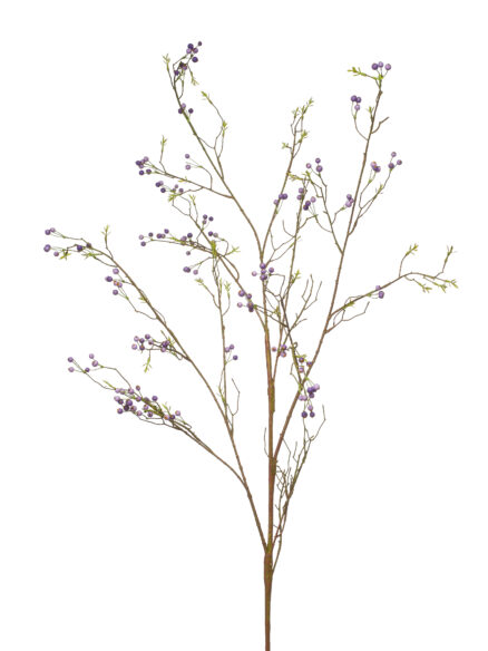Berry branch purple