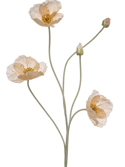 Emerald Poppy spray peach