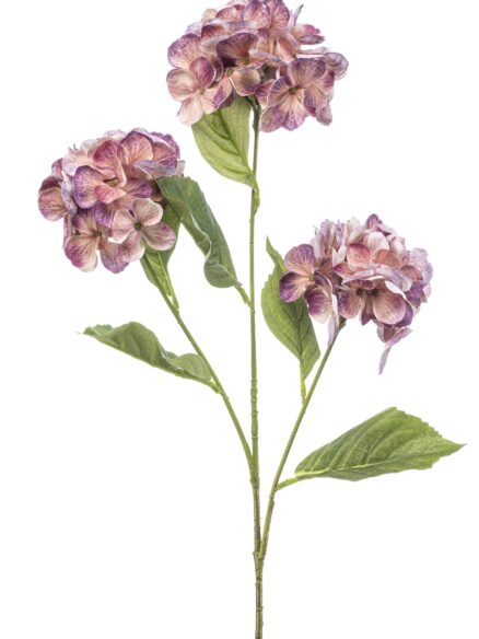 Emerald Hydrangea spray peach/purple