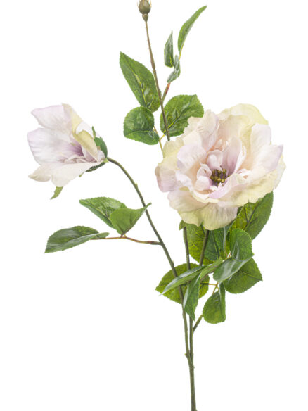 Emerald Rose Liza spray lt purple