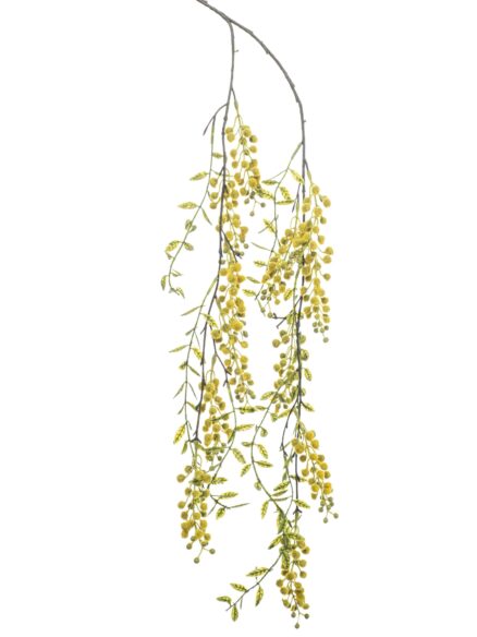 Emerald Mimosa hanging spray yellow