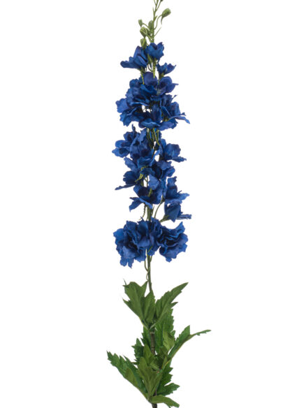 Emerald Delphinium spray RT blue