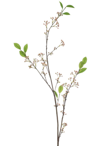 Emerald Berry spray peach
