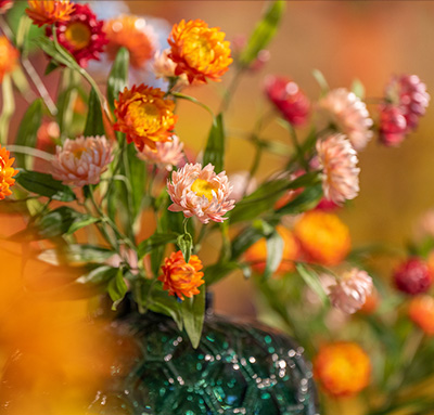 Emerald Eternal Green | Inspired by nature