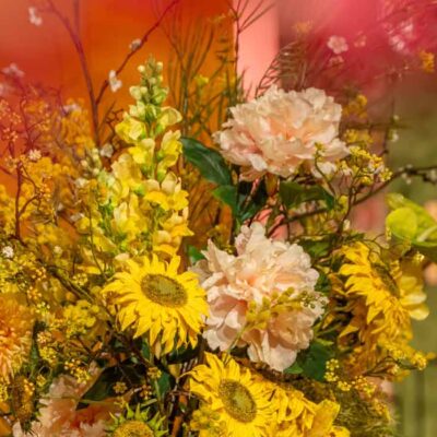 5 Favourite summer flowers
