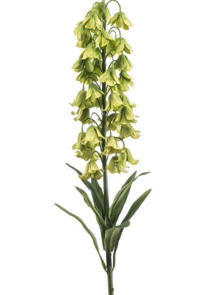 spring-summer 2026 Fritillaria spray green 90cm