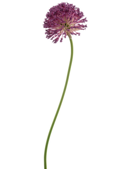 Emerald allium spray purple - spring summer 2026 artificial flowers