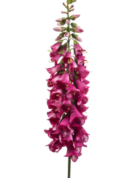 Digitalis spray beauty - kunstbloemen emerald spring summer 2026