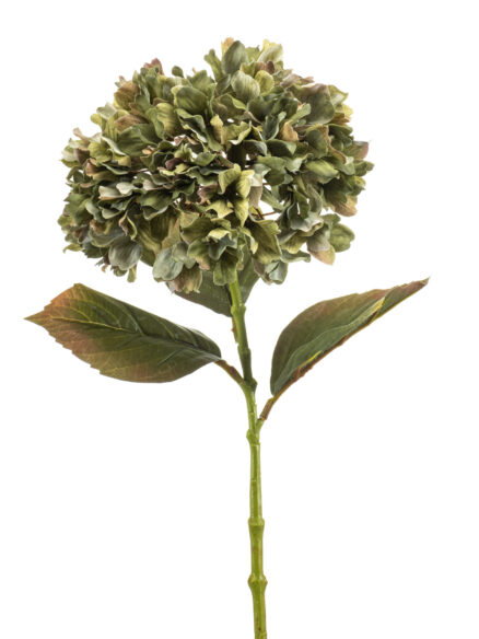 hydrangea spray green