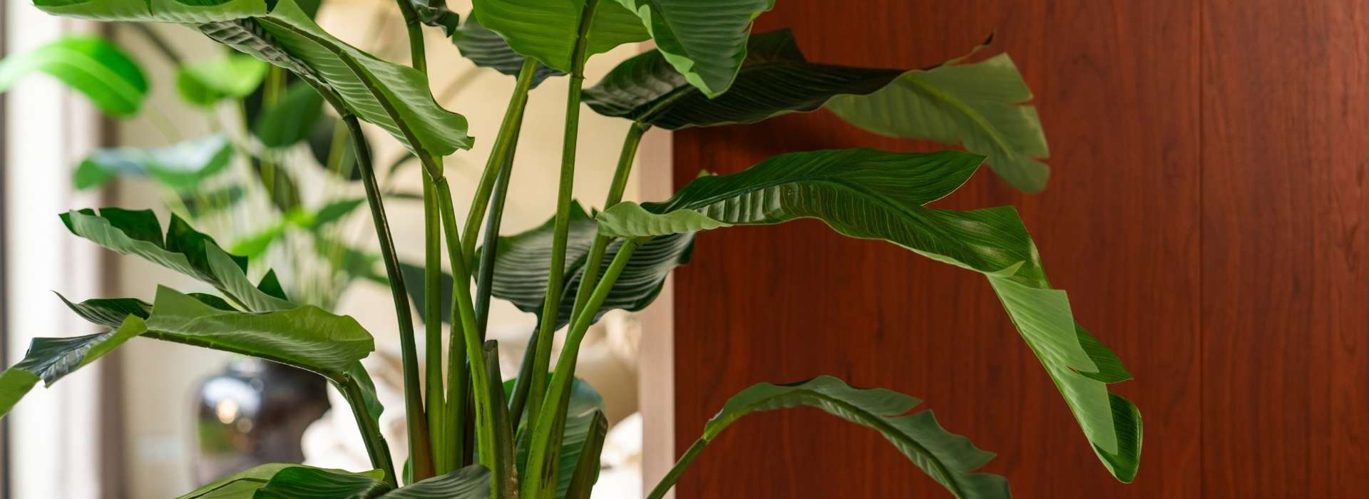 b corp certificering (2)