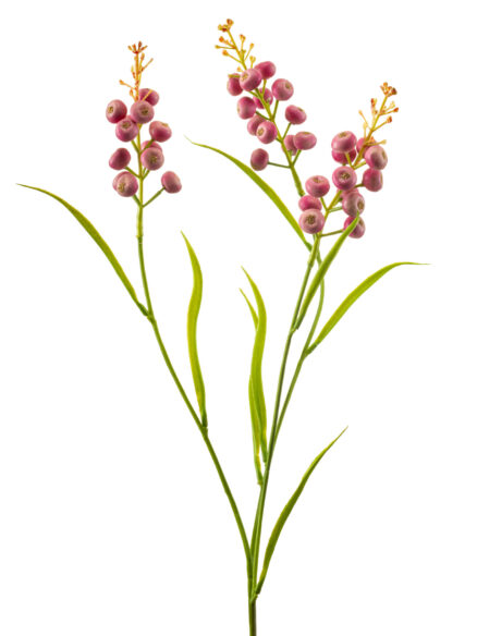 Berry spray pink