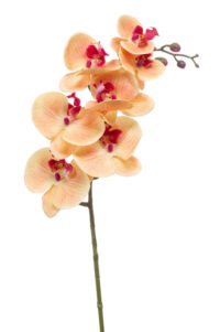 real touch kunstbloem phaleanopsis