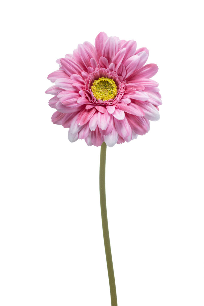 Roze gerbera real touch bloem