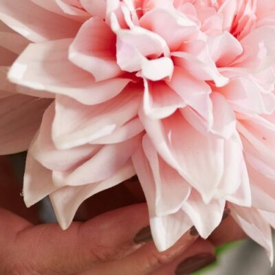 real touch flowers