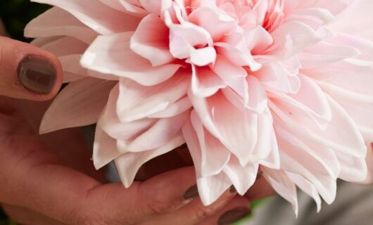 real touch flowers